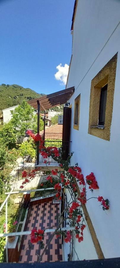 Nikis Apartments Agios Gordios  Eksteriør billede